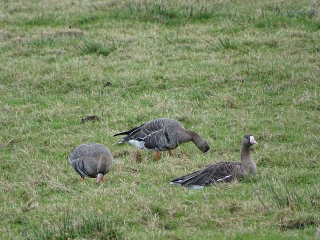 状态更是牵 状态更是牵