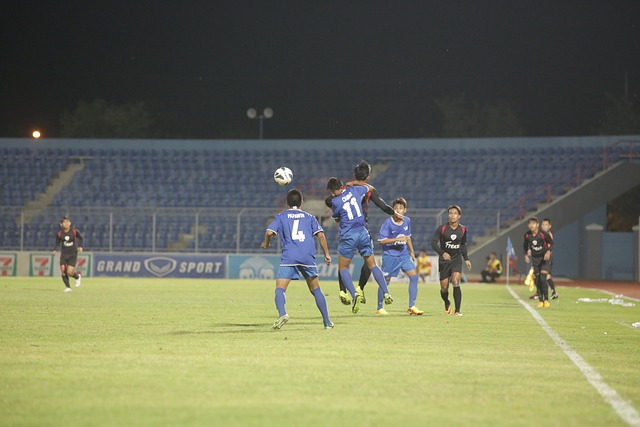 了强有力的 了强有力的