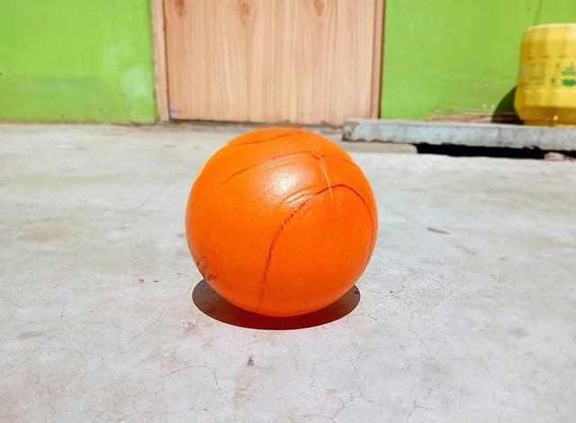 型的变化有 型的变化有