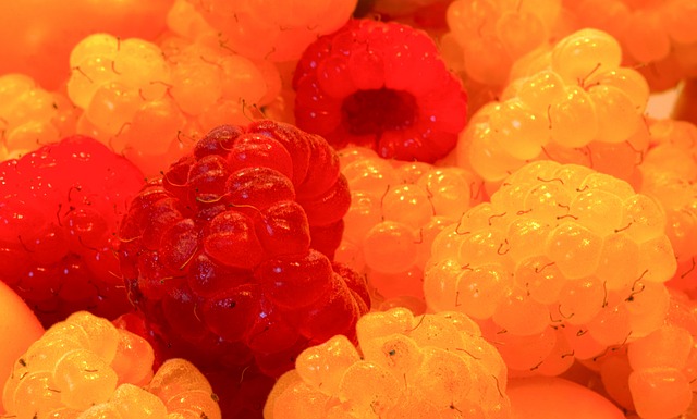 以一家知名 以一家知名