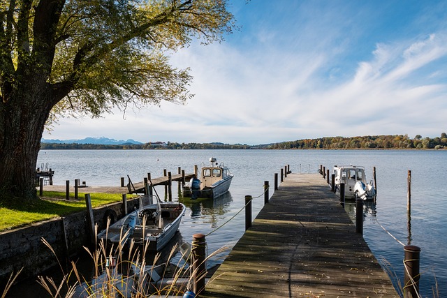 中起到了关 中起到了关