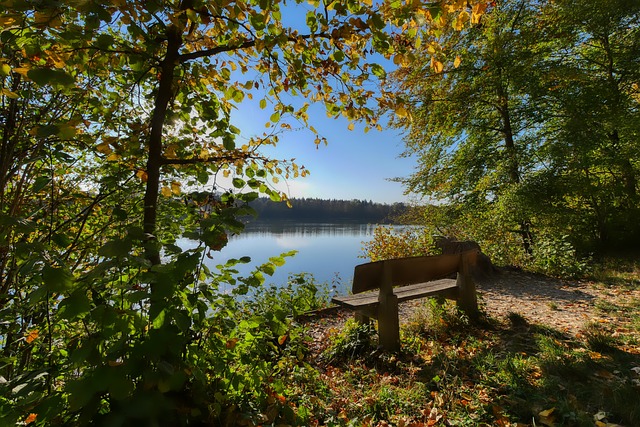 2027年首届电竞奥运会 沙地利雅得获主办权.