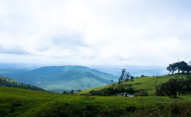 所有的关注 所有的关注