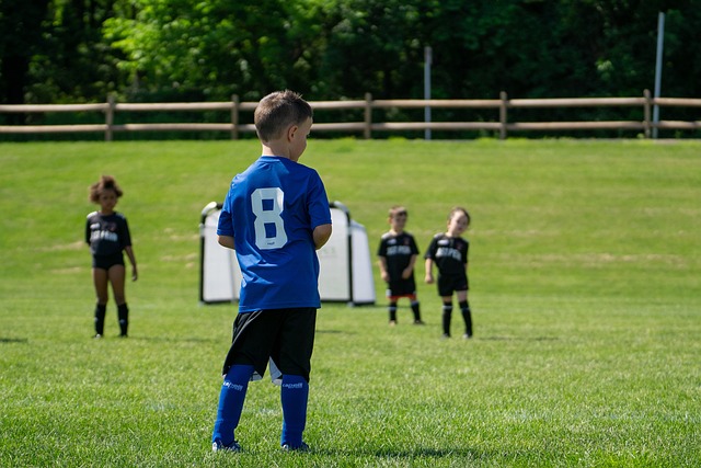 共享和协同 共享和协同