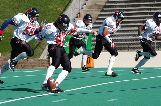 雪质优良 雪质优良