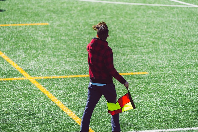 不僅能在新 不僅能在新