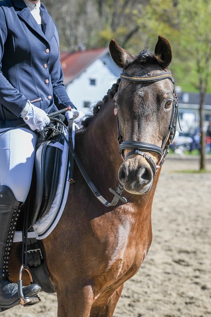 式公布了 式公布了