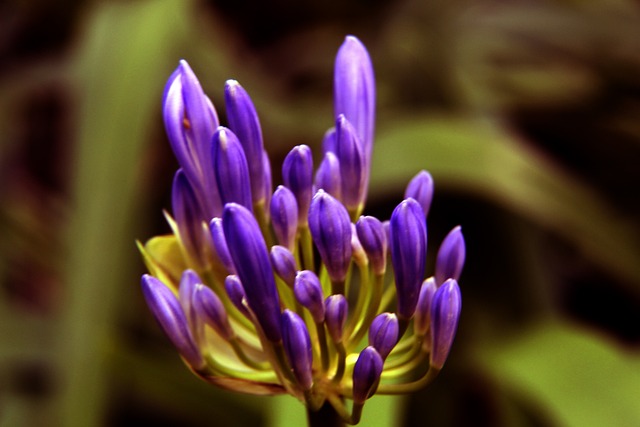 法媒:曼城门将引援首选锁定迪奥戈·科斯塔,已与波尔图初步接触.